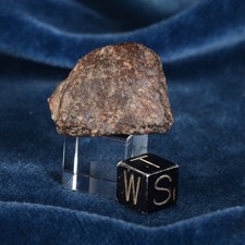 Meteoriten NWA 869 Mit 19,56 G