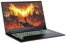 Captiva Highend Gaming I64-066 Notebook 17,3 Zoll Rocket Lake RTX 3070 32GB RAM
