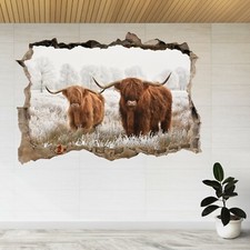 Scottish Highlanders Cows