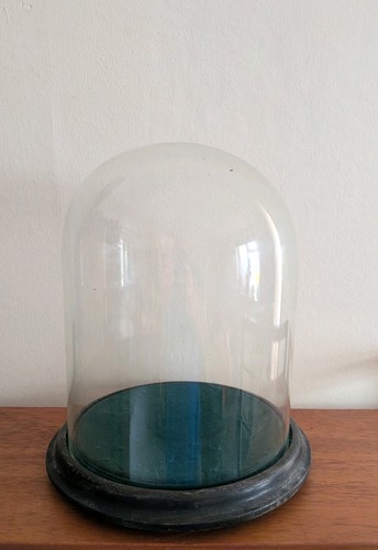 Antike glasvitrinenkuppel mit - antike,