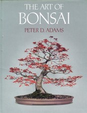 Art bonsai - of,