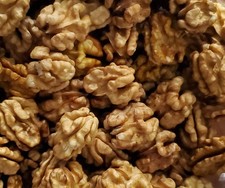 Ca. 400g Walnüsse Walnusskerne 2025 ohne Schale naturbelassen unbehandelt