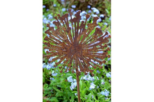 Rostdeko allium auf stab - stab, blume