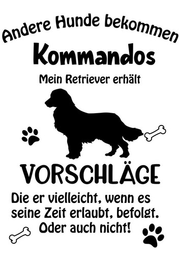 Autoaufkleber sticker - sticker, /