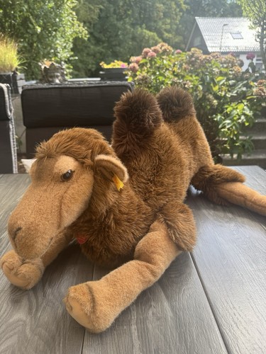 Großes steiff kamel molly - großes,