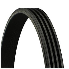 Keilrippenriemen für