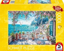 SCHMIDT SPIELE 58884 -