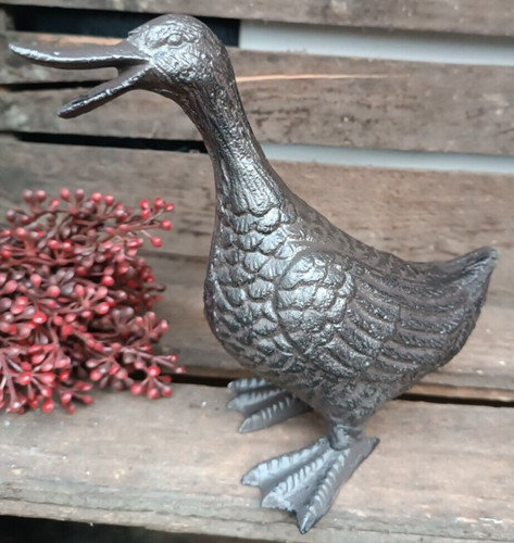 Tolle ente aus - ente,