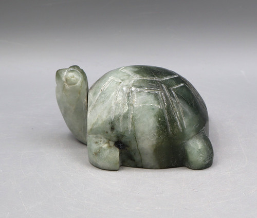 Jade schildkröte groß und - schildkrÖte,