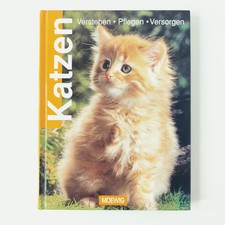 Katzen Verstehen Pflegen