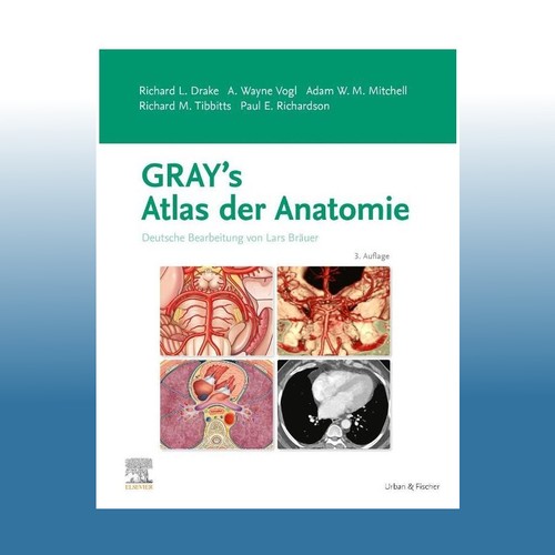 Gray atlas der anatomie - gray's,