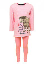 Salt and Pepper Pferd Horses