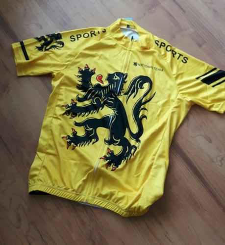 Radtrikot löwe flandern - löwe,