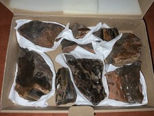 1 Box versteinertes Holz 9