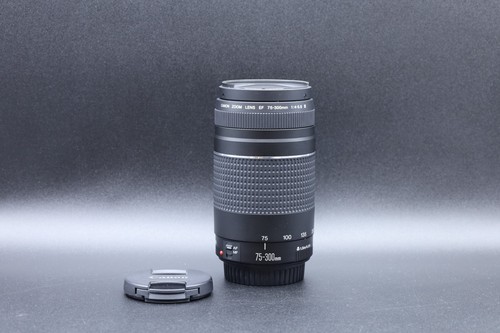Canon 300mm 5 - ef, iii