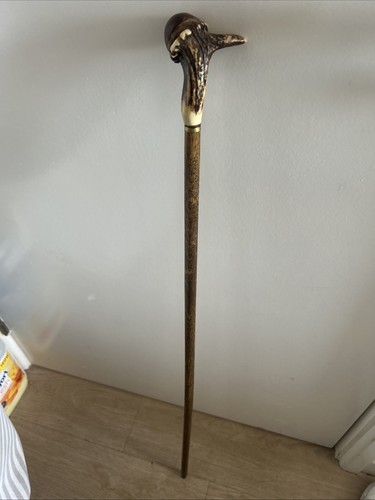 Hirschhorn kronengriff - hirschhorn,