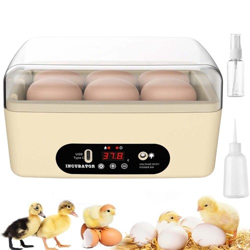 Eier inkubator - 6,