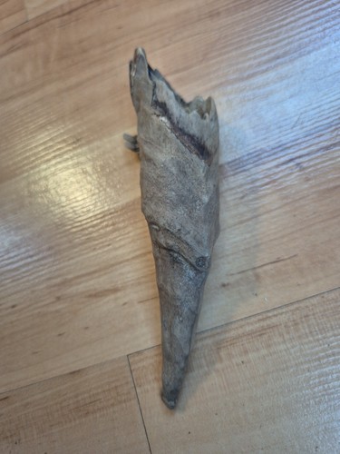 Schwemmholz treibholz korios - schwemmholz,