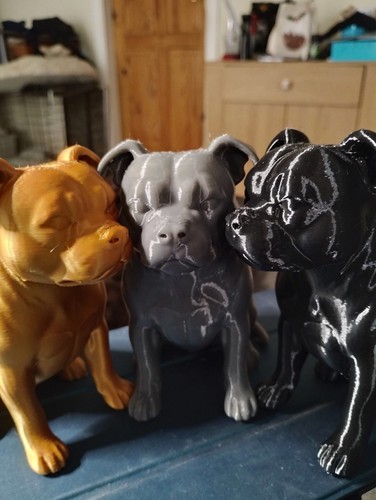 Staffie bullterrier - staffie,
