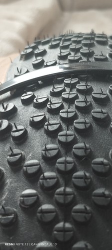 Schwalbe one bite - 2x,