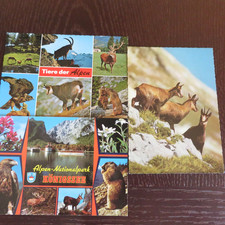 3 alte AK  Tiere der Alpen, Nationalpark, Adler, Gams, Hirsch, Berchtesgaden, 