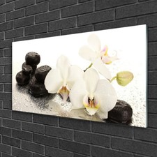 Wandbilder 100x50 Glasbild