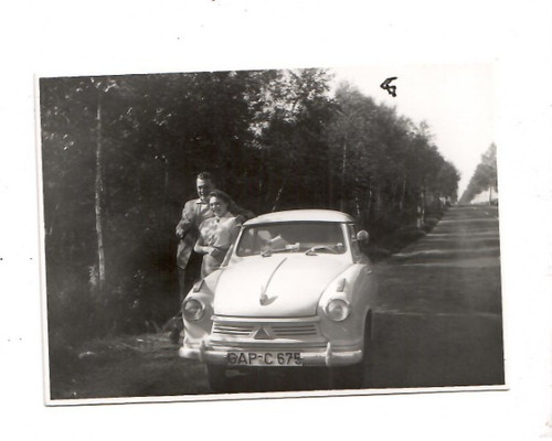 11562 foto junges - foto, paar