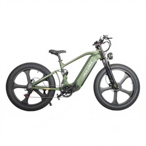 Dual motor off road - motor, off-road