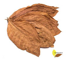 Tabakblätter Burley 1