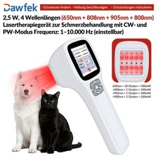 Professioneller Kältelaser