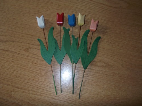 Stiele tulpen aus - 5, 23