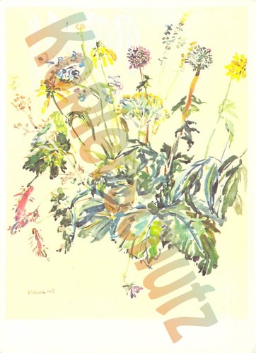 Künstler oskar kokoschka - künstler,