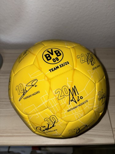 Bvb ball mit unterschriften - bvb,