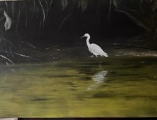 Ölbild Albino  Fischreiher Reiher Vogel Natur 