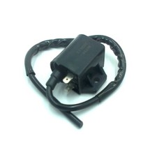 Ligier Zündspule Nova 400 /