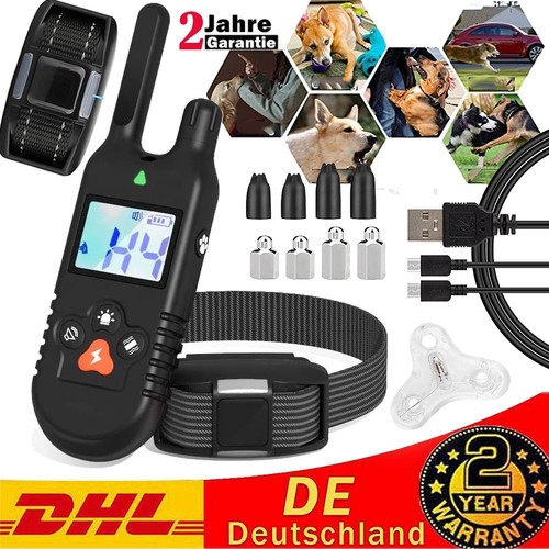 Hund erziehungshalsband - hund,