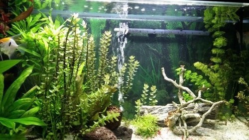 Aquarium komplett 200 liter - aquarium,