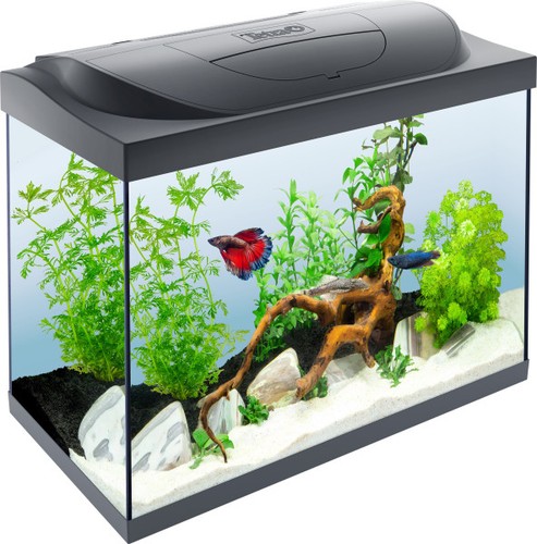 Tetra aquarium komplettset led - tetra, aquarium-komplettset
