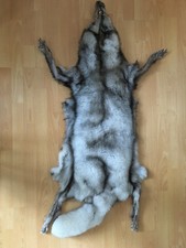 Blaufuchsfell Fuchspelz