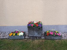 Alte zink pflanzgefäße - 3, zink-