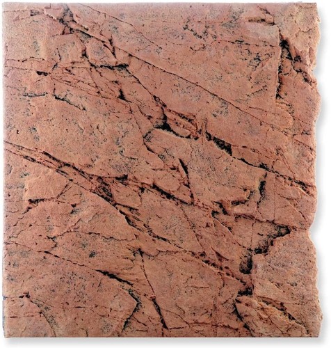 Back nature 50x55 - 3d,