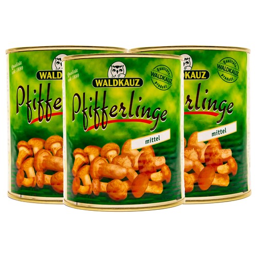 Waldkauz pfifferlinge mittel - waldkauz,
