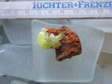 Adamin xx Mexiko, Mapimi,  UV