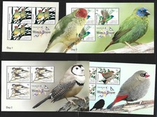 Australien - Prachtfinken