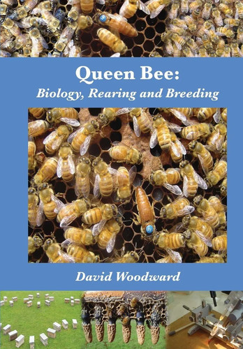 Queen bee biology rearing and - queen,