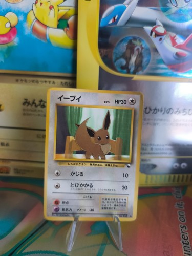 Pokemon karte card - karte,