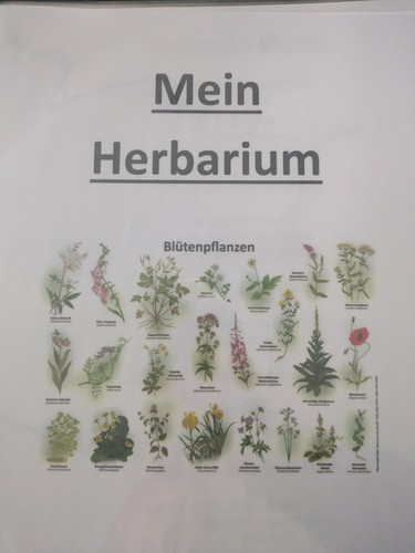 Herbarium kreuz korb - herbarium, kreuz-,