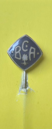 Anstecknadel des augsburg - des,