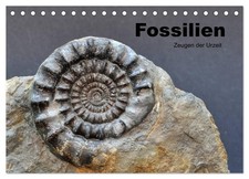 Fossilien - Zeugen der Urzeit