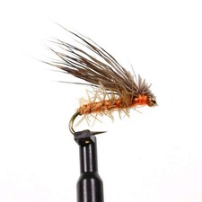 5er Set Nymphen Fliegen Köder